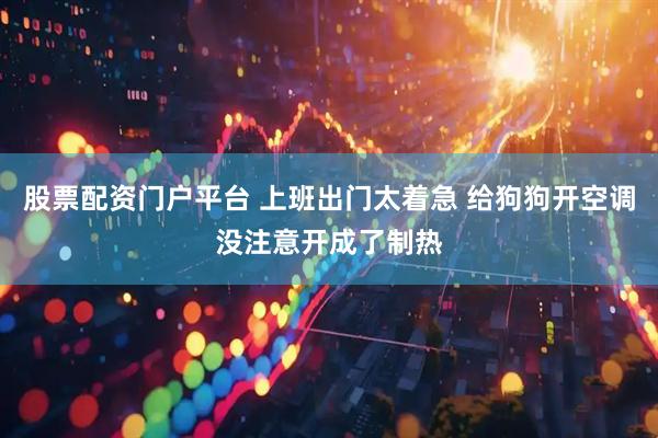 股票配资门户平台 上班出门太着急 给狗狗开空调没注意开成了制热